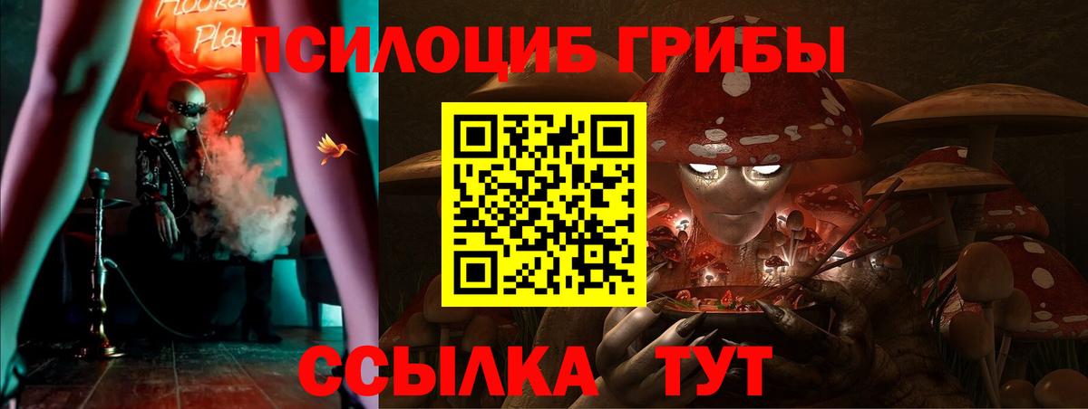 Галлюциногенные грибы MAGIC MUSHROOMS  Вход с VPN  Галлюциногенные грибы прущие грибы  хочу наркоту  Соликамск 